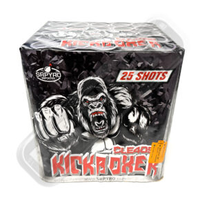 Kickboxer – F3 – 25 shots