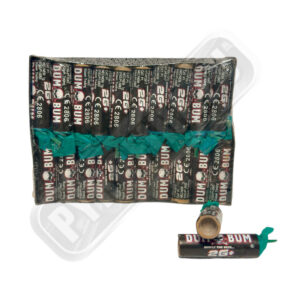 DumBum 2G+ P1 Chinese version